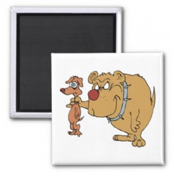 fridge magnet
