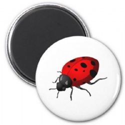 souvenir fridge magnet for promotion