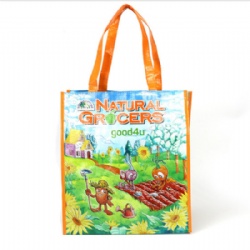 PP woven shopper bag with laminatiion